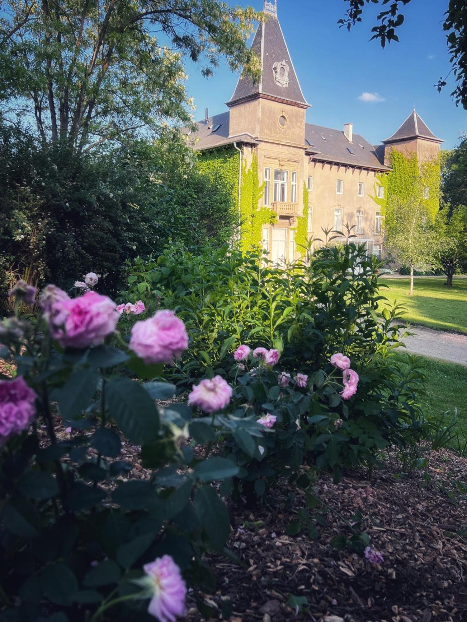 Chateau De Logne Ay-sur-Moselle Room photo